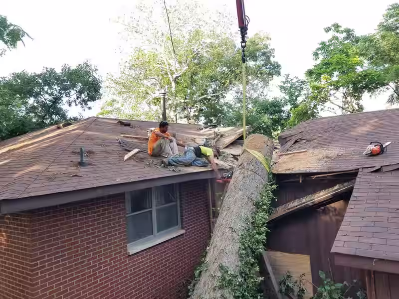 urgent hazardous tree limb removal service in Prichard Alabama preventing damage and ensuring safety