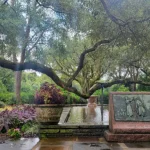A historic water fountain shaded by a massive sprawling Oak tree at Bellingrath Gardens in Theodore, Alabama.